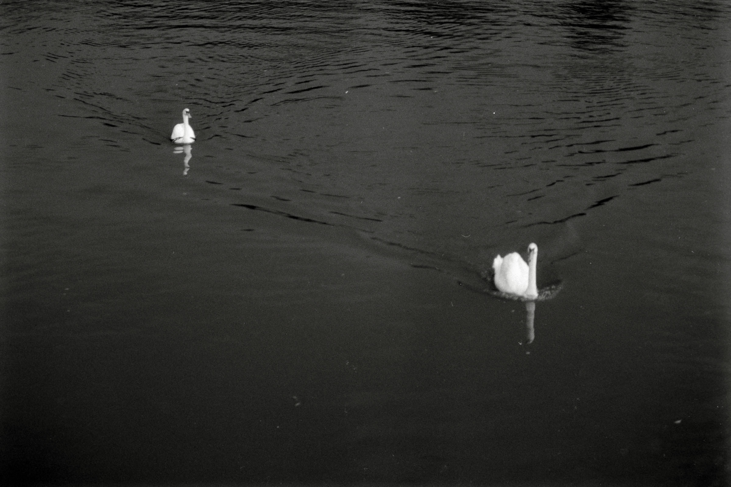 AHP F1990 09 004 sc250506 img38 NLP